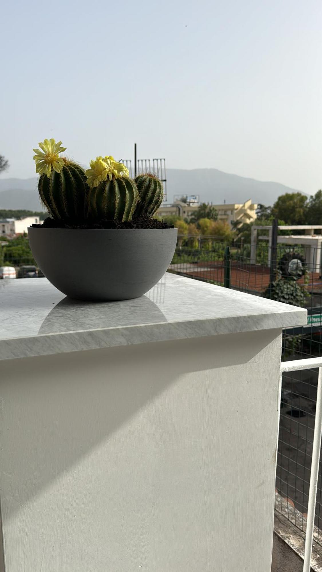 Bed and breakfast Vesuvius Pompeii Extérieur photo